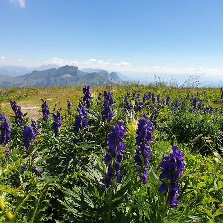 Walensee 80 Unterterzen
