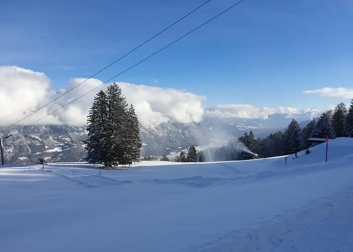 Walensee 80 شقة انتيرتيرزين