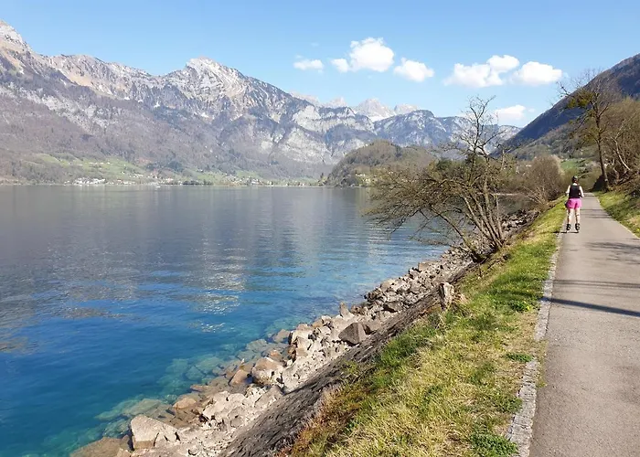 Walensee 80 شقة انتيرتيرزين